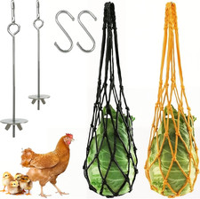 Mangiatoia per galline polli - galline,