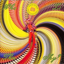 David Byrne / WHO IS THE SKY