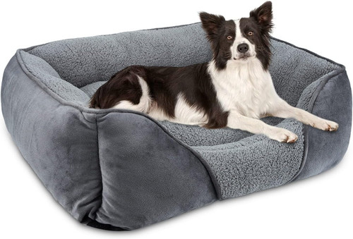 Cuccia cane interno taglia - cane,