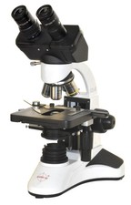 Radical Medico Biologia Acqua