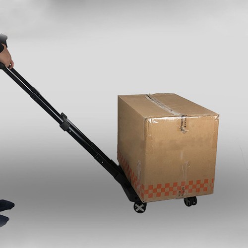 Carrello mini portatile 100kg - mini,