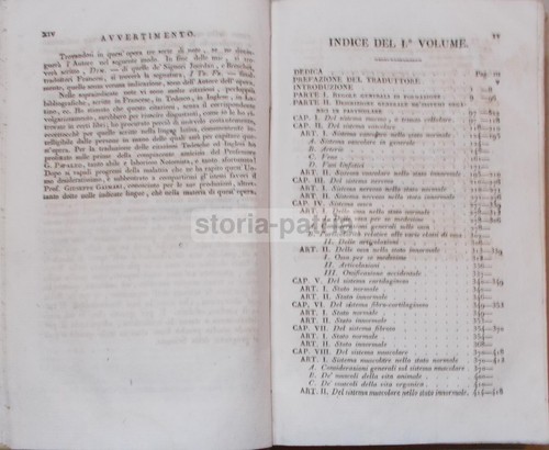 MEDICINA_ANATOMIA_GROSSO