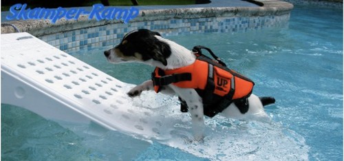 Rampa per cani - cani, e