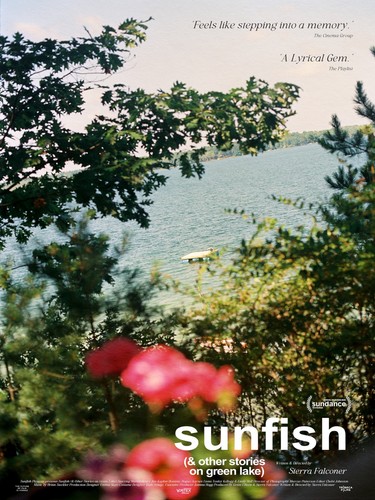 Sunfish other stories on - other,