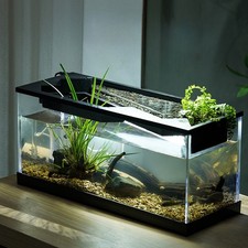 Starter Aquarium Set mit