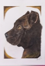 Ritratto realistico canna