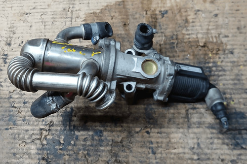 55219499 valvola egr - egr, fiat