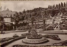 141875B  COLLODI GIARDINO E