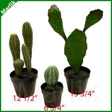 Set di 3 piante di cactus