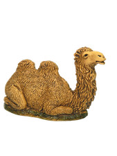 Cammello Seduto Landi