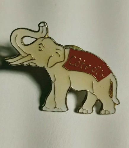 P13 pin valutazione - p13, d'oro
