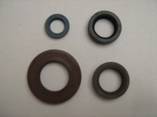 Fantic Motor Serie paraoli per