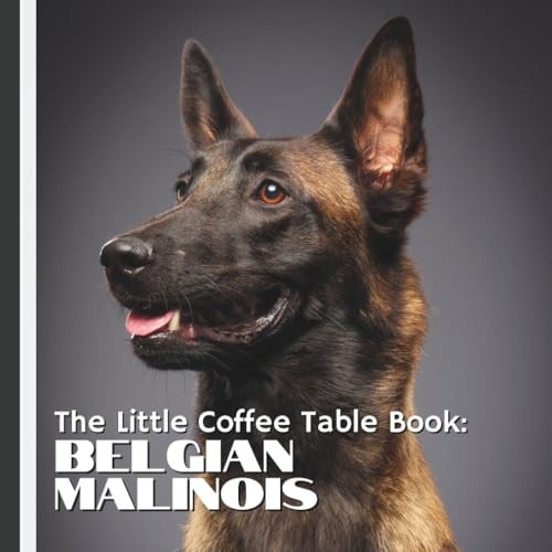 The little coffee - the, table