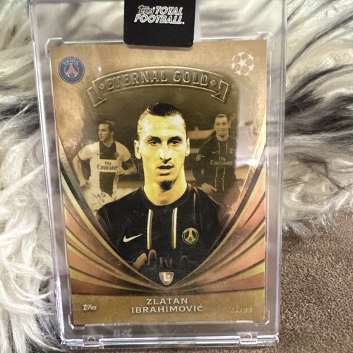 Zlatan ibrahimovic psg 2024 - zlatan,