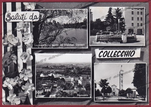 Parma collecchio saluti - parma,