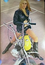 Brigitte Bardot poster