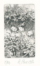 PESCE  ANTONIO " VEGETAZIONE"