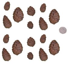 15 x Edible 3D pine cones