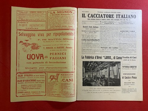 Cacciatore italiano - il,