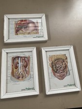 Lotto Quadretti Didattici