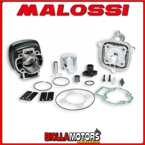 317353 gruppo termico malossi - 317353,