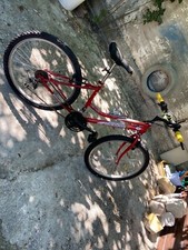 Bicicletta uomo frejus