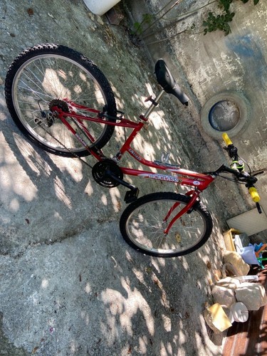 Bicicletta uomo frejus