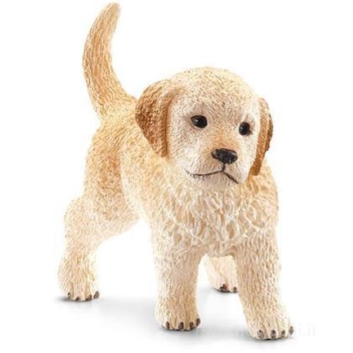 Golden retriever cucciolo - golden,