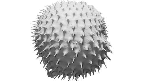 Pesce palla statuetta - pesce,