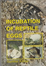 Incubation reptile eggs - incubation, of
