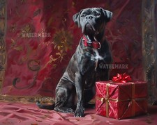 Cane Corso Cane con Regalo -