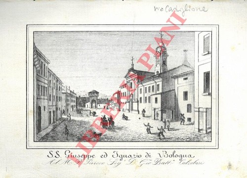 Bologna stampe corty ss - bologna,