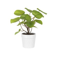 Pianta artificiale con vaso