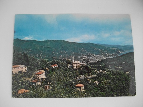 Martino noceto rapallo - martino,
