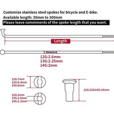 Bicicletta elettrica