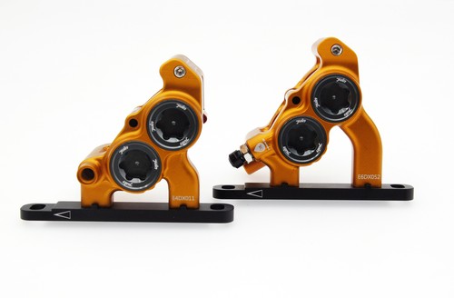 Freni flat mount gold juin - flat,