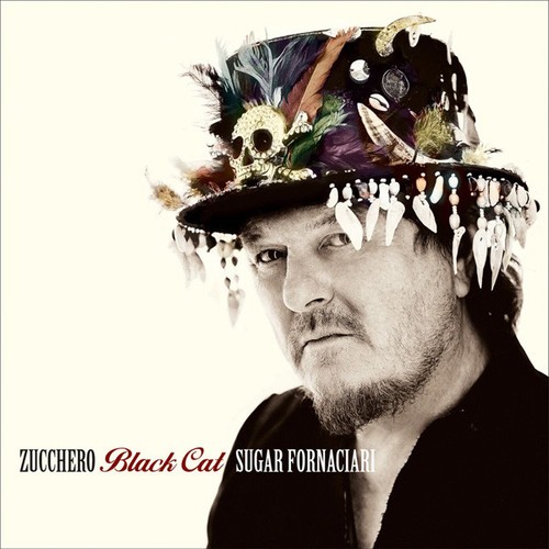 Zucchero black cat - zucchero,