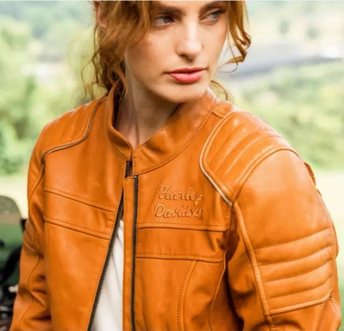 Harley davidson inseguimento - harley-davidson,