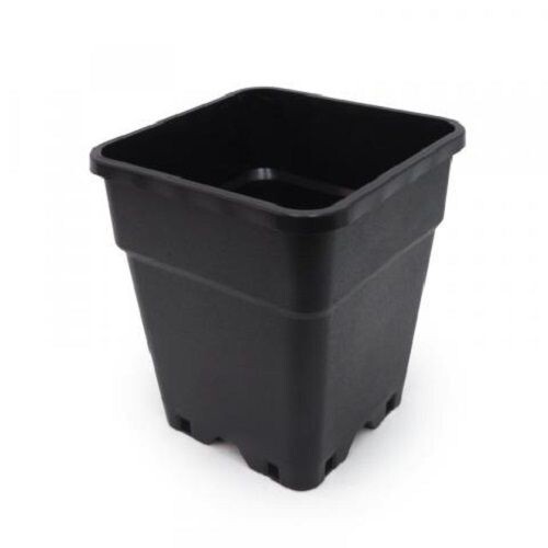 Vaso quadrato - ,