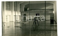 1951 milano istituto leone - milano, "leone