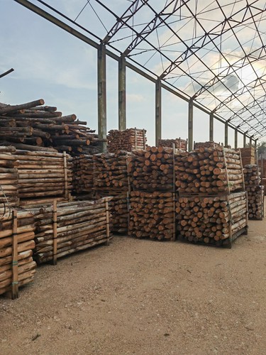 Pali legno castagno - di,