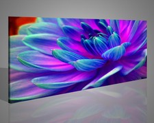 Stampa Fiore - Quadro Floreale