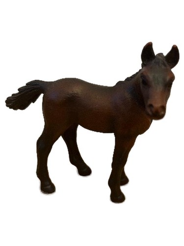 Schleich puledro stallone