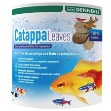 Dennerle catappa leaves 2744 - catappa,