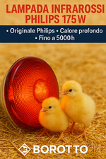 Lampada Philips Infrarossi PAR38 IR RED 175 W per Pulcini dopo incubatrice 🐤🐤