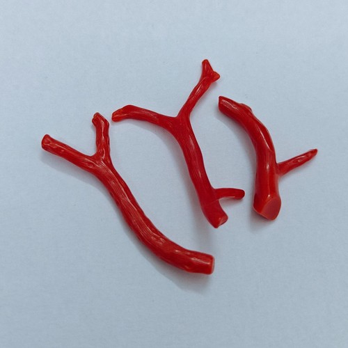 Ramo corallo rosso italia - rosso,