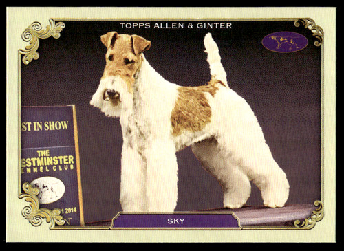 2024 topps allen ginter x - &,