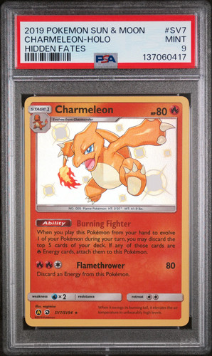 Pokemon destino nascosto - pokemon,