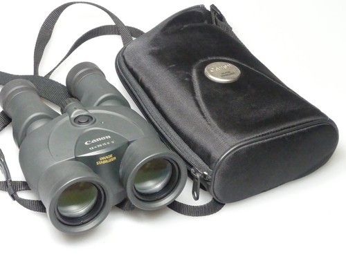 Canon stabilizzatore - canon,