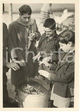 Novembre 1938 MILANO Ragazzi si scaldano al fuoco delle caldarroste *Foto
